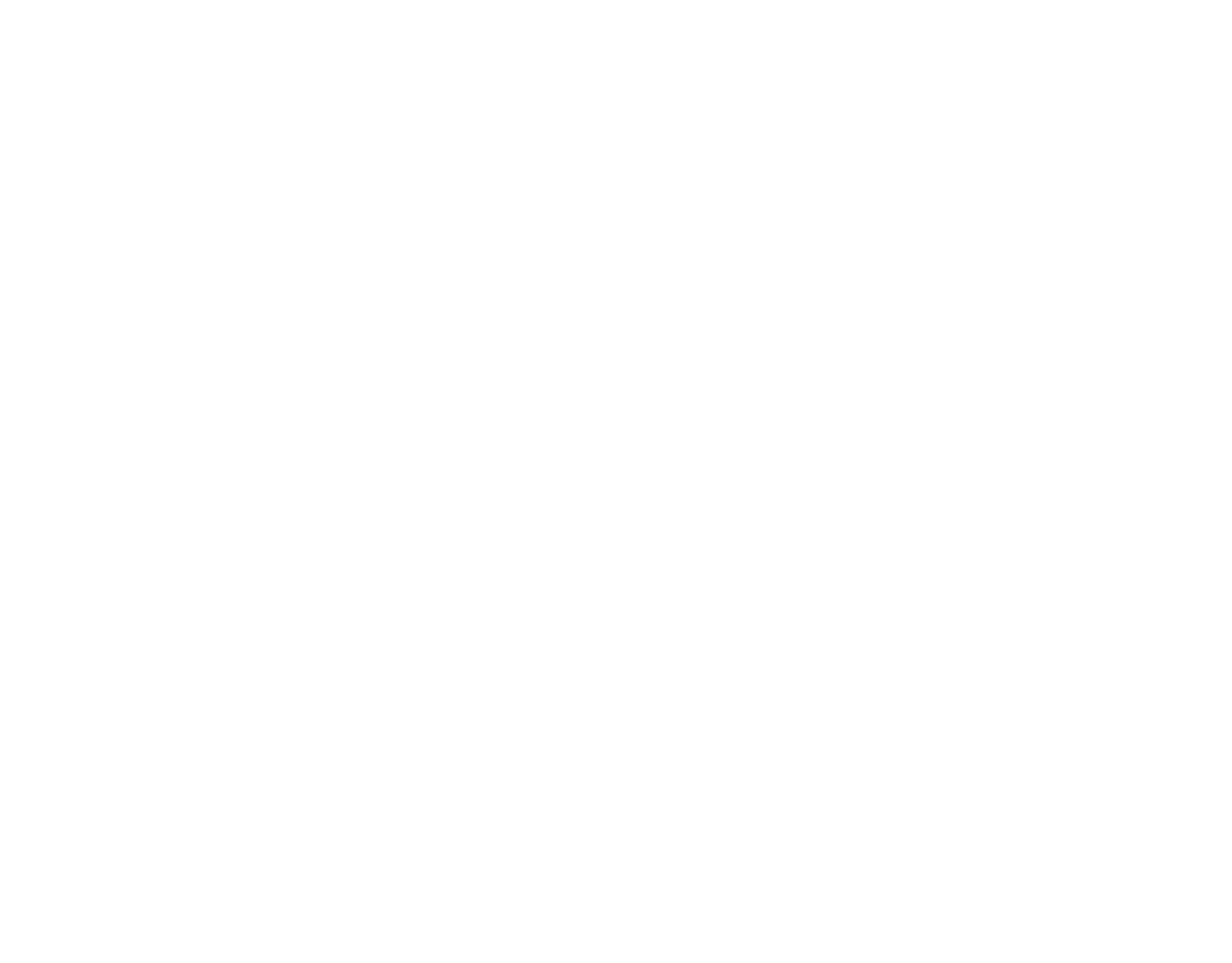 Overseas Study Consultants
